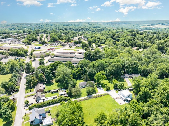 4 Brooklyn Ln, Miami Twp, OH 45150 - aerial view of a forest
