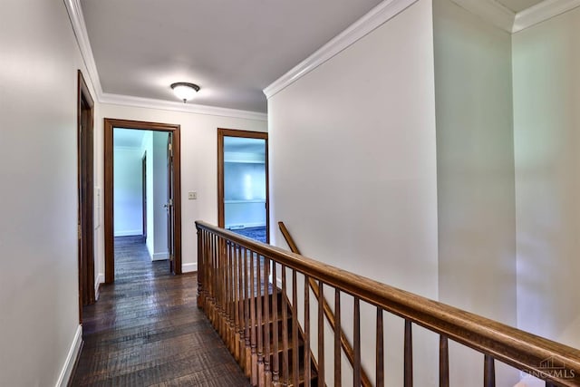 254 Compton Rd, Wyoming, OH 45215 - corridor with an upstairs landing, dark wood-style flooring, and crown molding