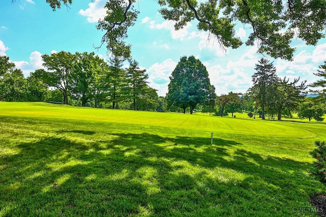 254 Compton Rd, Wyoming, OH 45215 - view of property's community featuring view of wooded area, view of golf course, and a lawn