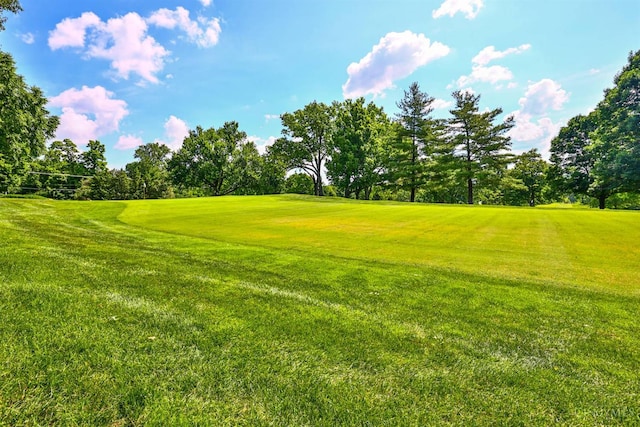 254 Compton Rd, Wyoming, OH 45215 - view of green lawn with view of scattered trees and view of golf course