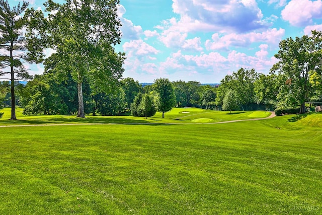 254 Compton Rd, Wyoming, OH 45215 - surrounding community with view of wooded area, golf course view, and a lawn