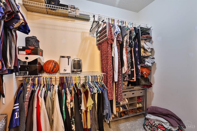 2487 Haddock Dr, Lawrenceburg, IN 47025 - spacious closet featuring carpet floors