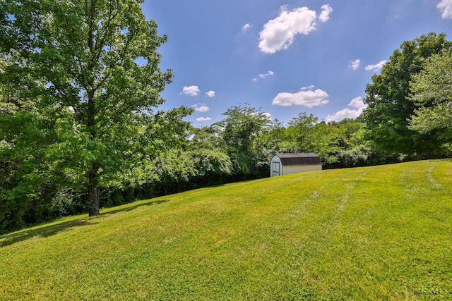 2487 Haddock Dr, Lawrenceburg, IN 47025 - view of grassy yard featuring a storage shed