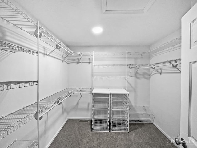 6336 Lansing Ct, Liberty Twp, OH 45011 - walk in closet with carpet