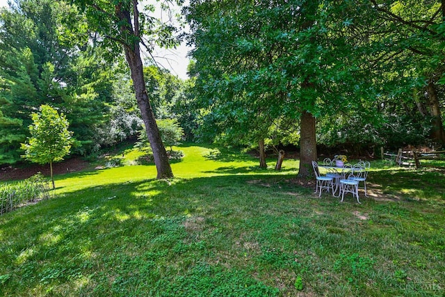 8050 Redhaven Ct, Colerain Twp, OH 45247 - view of green lawn