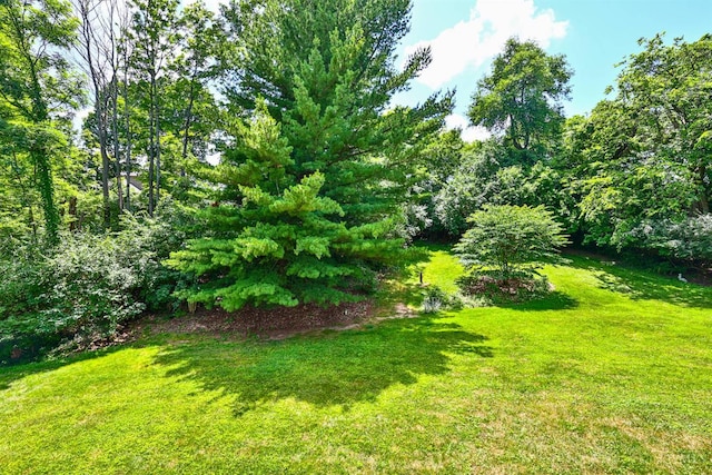 8050 Redhaven Ct, Colerain Twp, OH 45247 - view of grassy yard