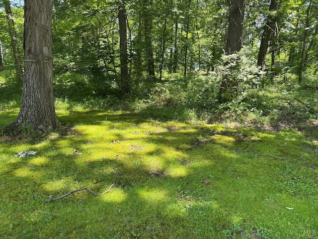 121 Hatchie Dr, Jackson Twp, OH 45171 - photo 20