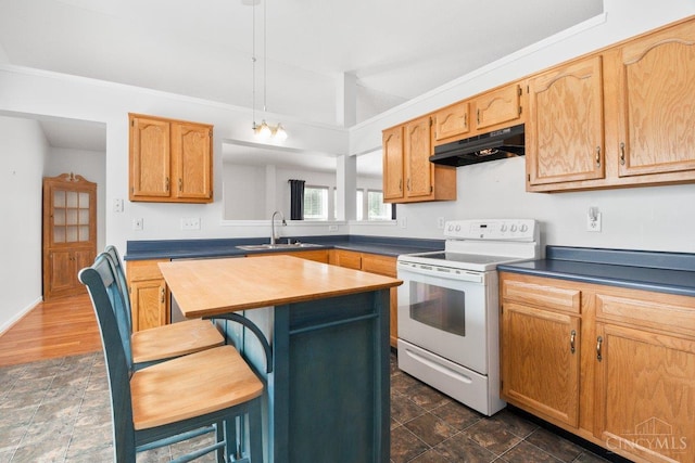 1583 Creekside Rd, Batavia Twp, OH 45102 - kitchen featuring white range with electric stovetop, under cabinet range hood, wooden counters, crown molding, and a kitchen island