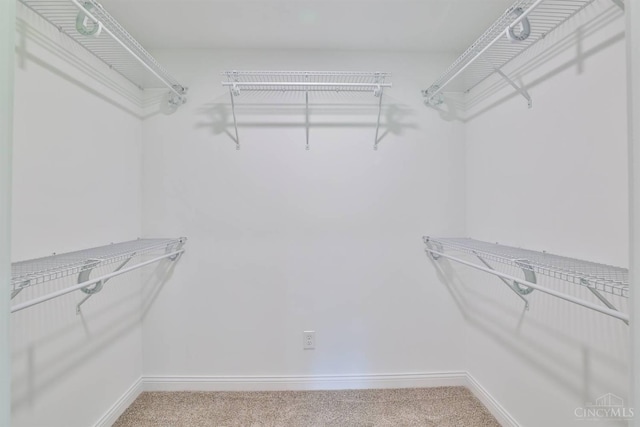711 S Main St, Monroe, OH 45050 - walk in closet featuring carpet flooring