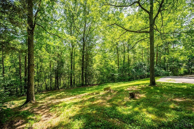 2914 Pond Run Ln, Pierce Twp, OH 45157 - view of grassy yard with a forest view