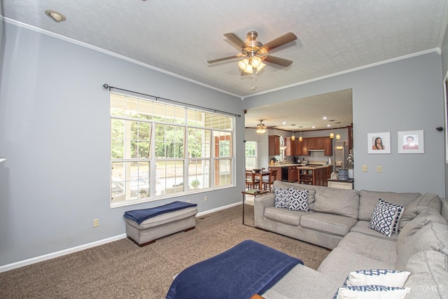 1887 Bantas Creek Rd, Washington Twp, OH 45320 - carpeted living room with ceiling fan and crown molding