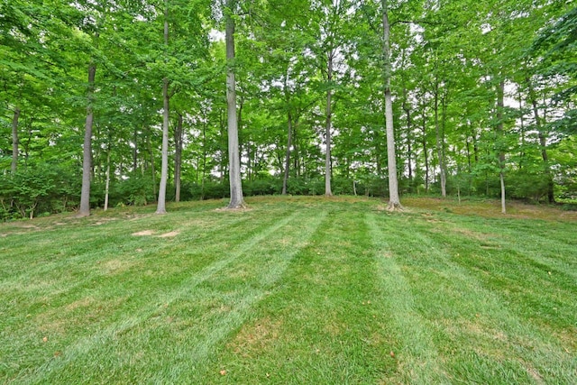 1001 Castlebay Dr, Pierce Twp, OH 45245 - view of grassy yard