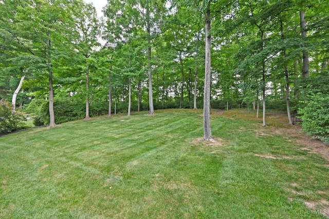 1001 Castlebay Dr, Pierce Twp, OH 45245 - view of green lawn