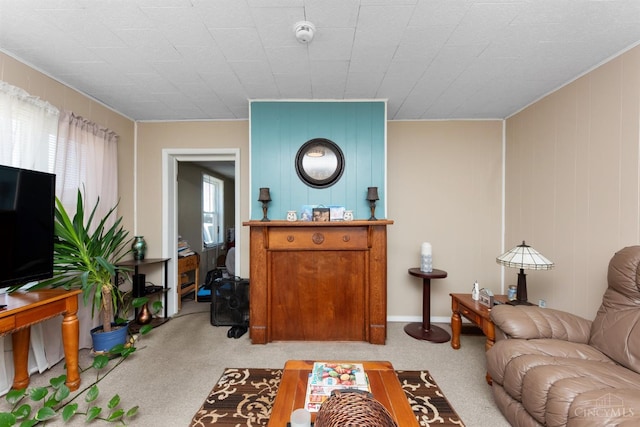 201 W Cherry St, Georgetown, OH 45121 - carpeted living room featuring crown molding