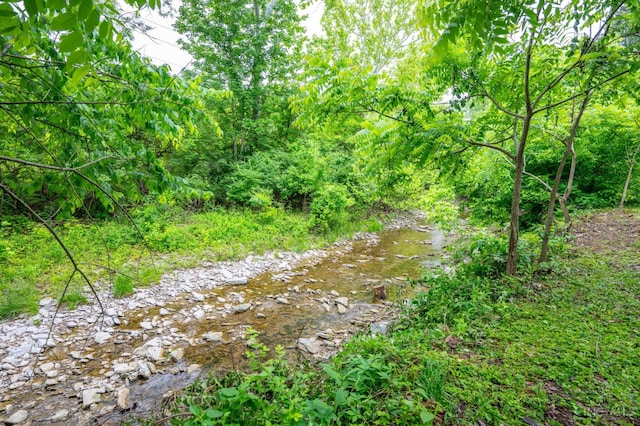 8385 Bridle Rd, Anderson Twp, OH 45244 - view of nature