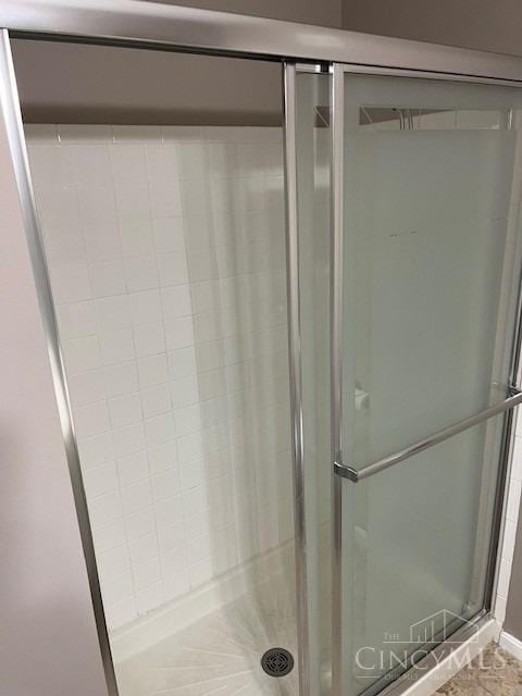 12061 Carrington Ln Unit 206, Symmes Twp, OH 45140 - bathroom with a stall shower