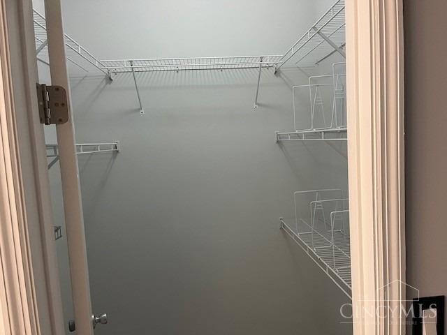 12061 Carrington Ln Unit 206, Symmes Twp, OH 45140 - view of walk in closet