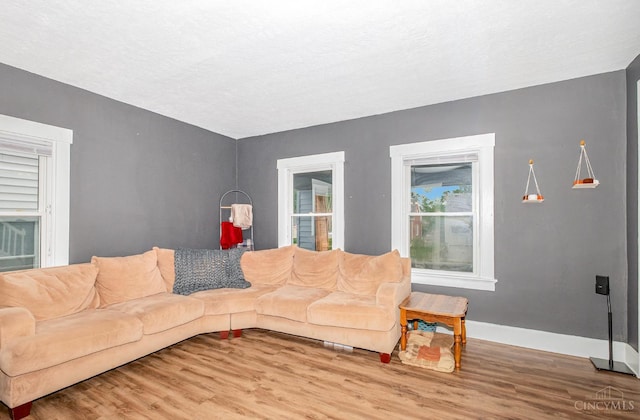 609 Coralie Ave, Hamilton, OH 45013 - living room featuring wood finished floors and baseboards