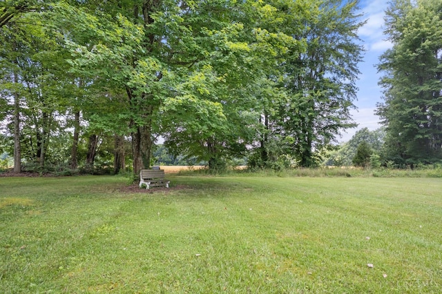 12027 Liming Van Thompson Rd, Clark Twp, OH 45106 - photo 25