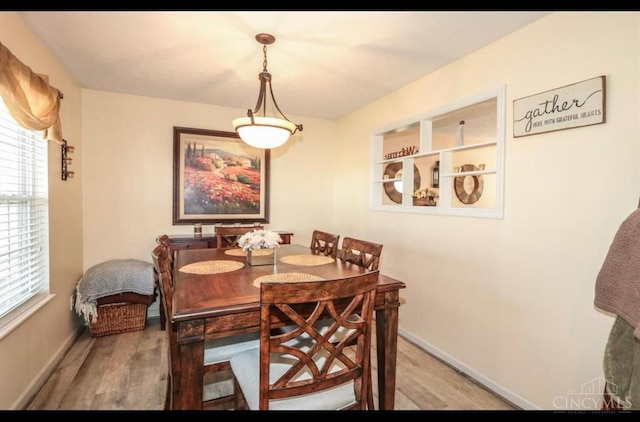 9648 Fallshill Cir, Springfield Twp, OH 45231 - dining area with light wood-type flooring and baseboards