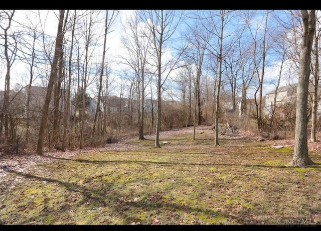9648 Fallshill Cir, Springfield Twp, OH 45231 - view of yard