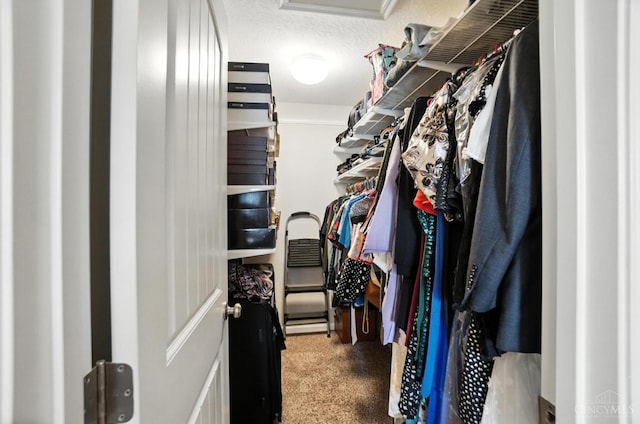 7981 Oakbridge Way, Green Twp, OH 45248 - spacious closet with attic access and carpet flooring