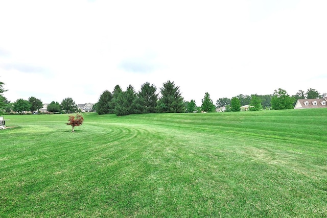 4623 Steeplechase Dr, Batavia Twp, OH 45103 - view of grassy yard