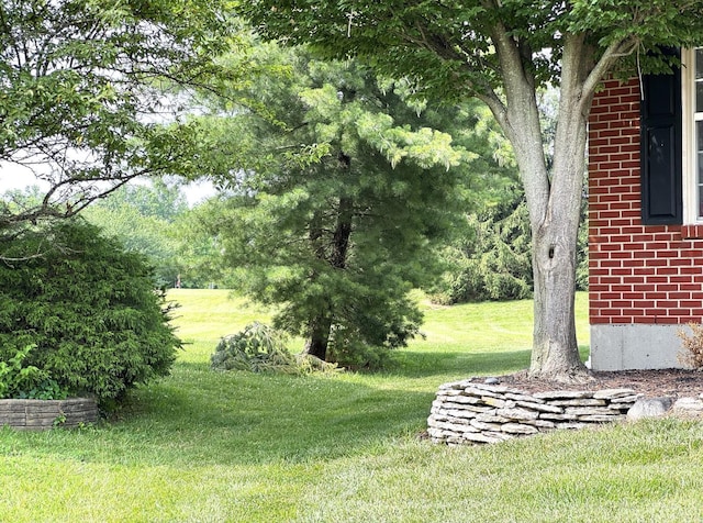 4623 Steeplechase Dr, Batavia Twp, OH 45103 - view of grassy yard
