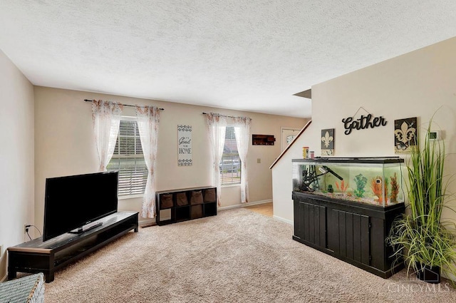 1165 Mcguffey Ln, Union Twp, OH 45103 - living area featuring carpet and a textured ceiling