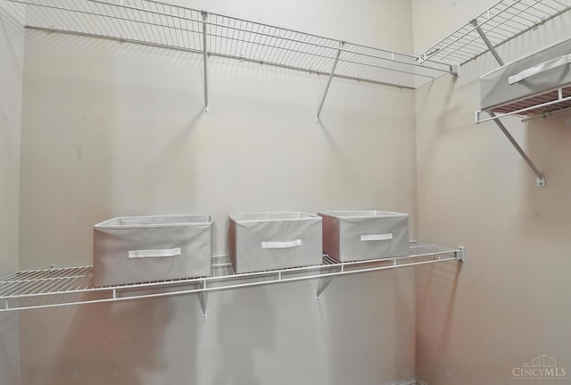 252 Stetson St Unit 403, Cincinnati, OH 45219 - view of walk in closet