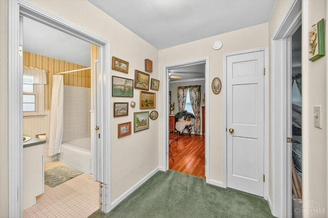 10410 Maria Ave, Springfield Twp, OH 45231 - hallway featuring baseboards and carpet floors