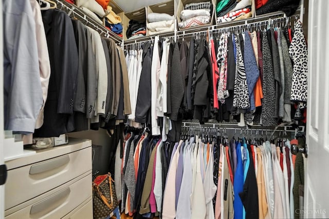 1751 Tatum Ln, Hamilton, OH 45013 - view of spacious closet