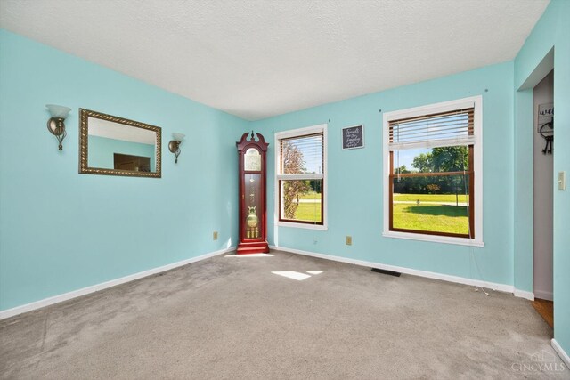 90 Lorelei Dr, Perry Twp, OH 45118 - carpeted empty room with baseboards and a textured ceiling