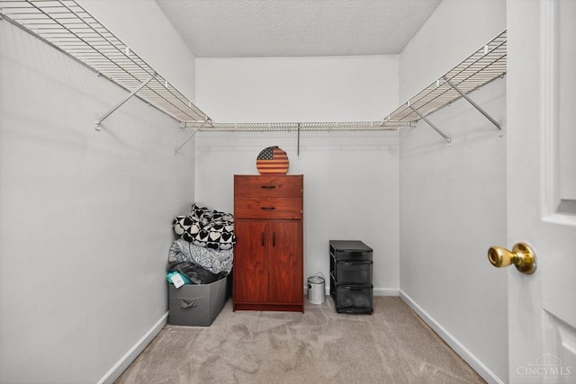 90 Lorelei Dr, Perry Twp, OH 45118 - walk in closet with carpet flooring