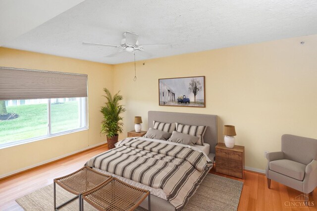 6791 Cloudscape Way, Hamilton Twp, OH 45039 - photo 18