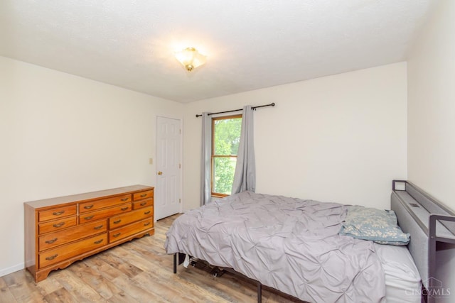 207 Valhalla Cv, Lakengren, OH 45320 - bedroom with light wood-style floors