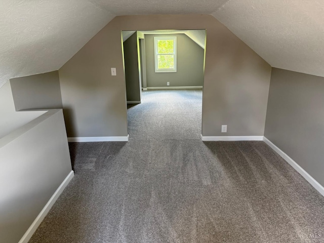 569 Beissinger Rd, Saint Clair Twp, OH 45013 - bonus room featuring a textured ceiling, carpet floors, and lofted ceiling