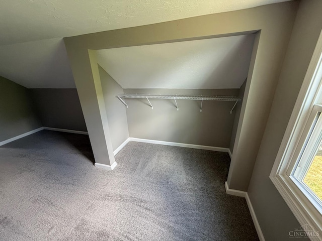 569 Beissinger Rd, Saint Clair Twp, OH 45013 - walk in closet with carpet flooring and lofted ceiling