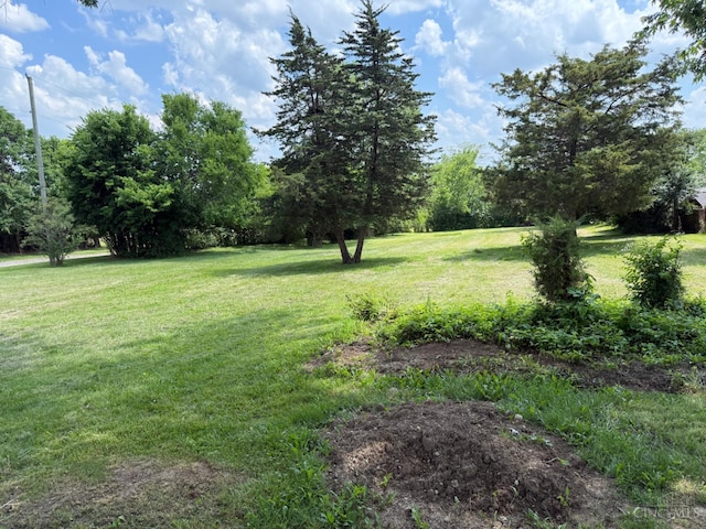569 Beissinger Rd, Saint Clair Twp, OH 45013 - view of green lawn