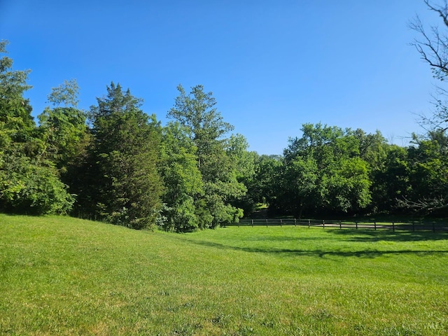 9063 Morrow Woodville Rd, Harlan Twp, OH 45162 - view of yard