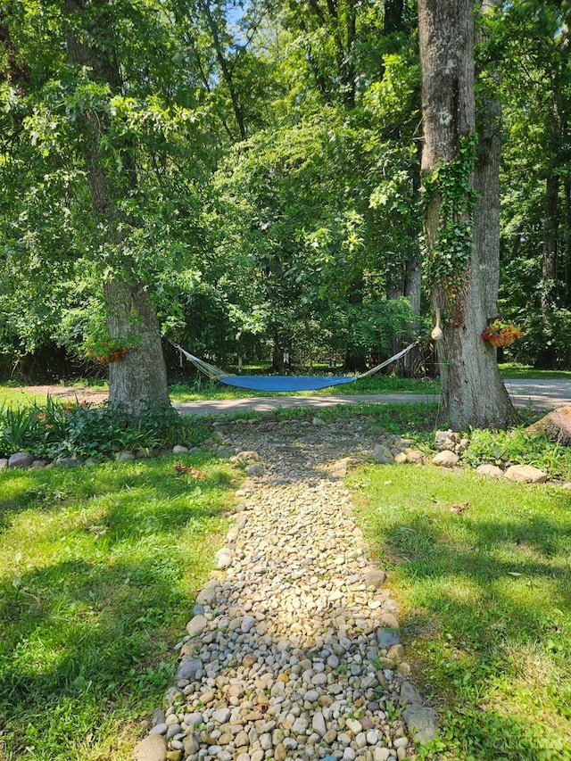 9063 Morrow Woodville Rd, Harlan Twp, OH 45162 - view of community