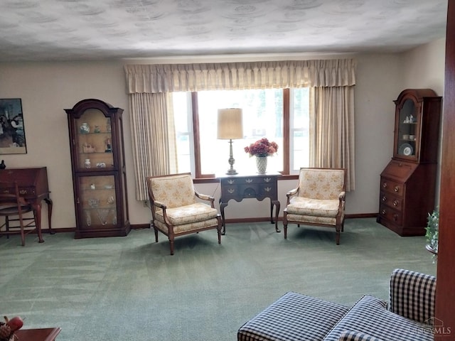 13353 State Route 28 W, Greenfield, OH 45123 - sitting room with carpet floors