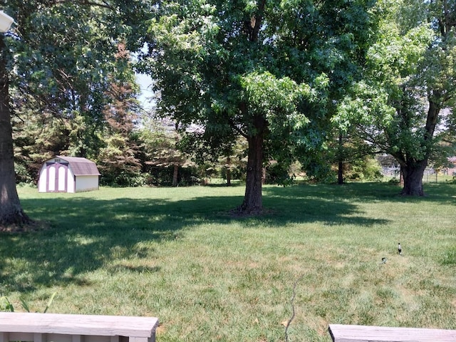 13353 State Route 28 W, Greenfield, OH 45123 - view of grassy yard featuring a storage unit