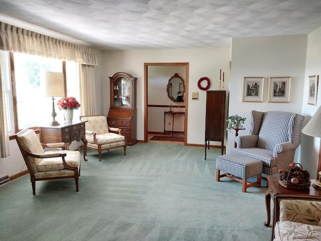 13353 State Route 28 W, Greenfield, OH 45123 - sitting room with carpet floors and baseboards
