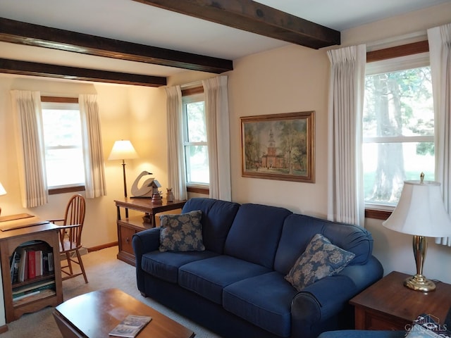 13353 State Route 28 W, Greenfield, OH 45123 - living room with light colored carpet, healthy amount of natural light, and beam ceiling