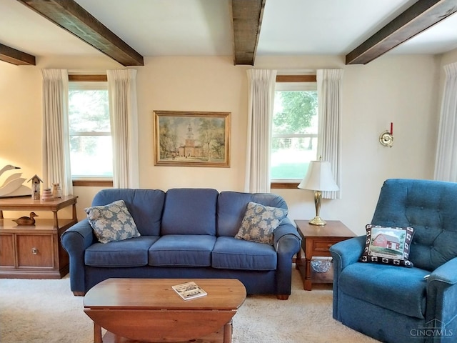 13353 State Route 28 W, Greenfield, OH 45123 - living room with carpet, beam ceiling, and healthy amount of natural light