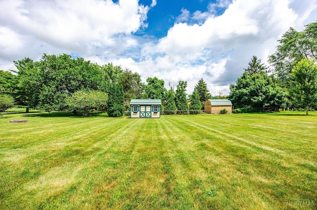 1900 Lani Dr, Washington Twp, OH 45320 - view of green lawn with a storage unit