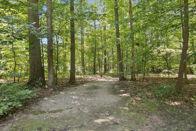 14697 Bodman Rd, Sterling Twp, OH 45154 - view of street featuring a forest view
