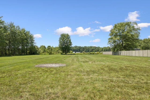 14697 Bodman Rd, Sterling Twp, OH 45154 - view of yard