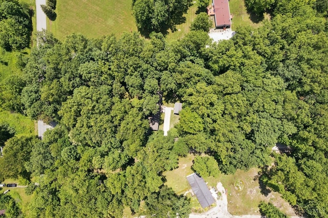 14697 Bodman Rd, Sterling Twp, OH 45154 - aerial view of property and surrounding area